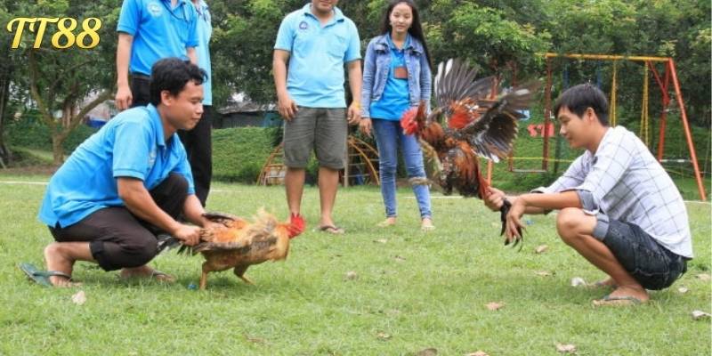 Trận đấu hạng cân nặng lớn thu hút đông người nhờ sức mạnh